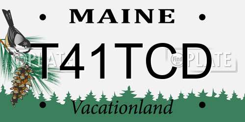 T41TCD Maine License Plate