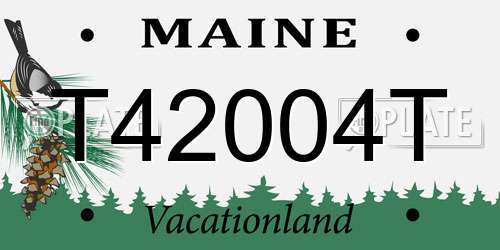 T42004T Maine License Plate