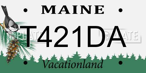 T421DA Maine License Plate