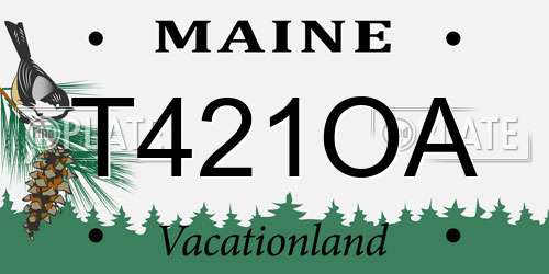 T421OA Maine License Plate