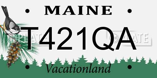 T421QA Maine License Plate