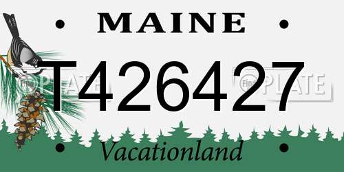 T426427 Maine License Plate
