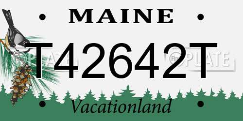 T42642T Maine License Plate