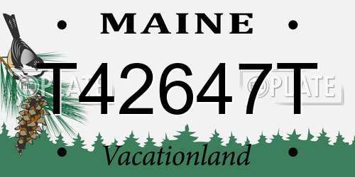 T42647T Maine License Plate