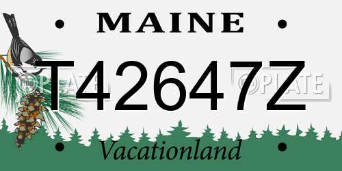T42647Z Maine License Plate
