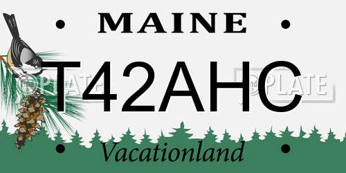 T42AHC Maine License Plate