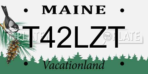 T42LZT Maine License Plate