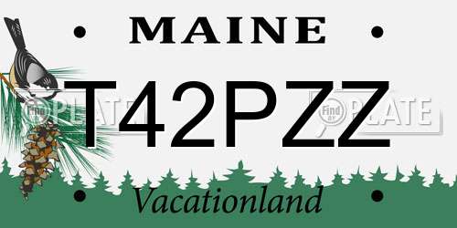 T42PZZ Maine License Plate