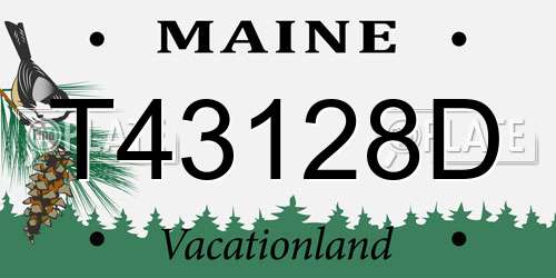 T43128D Maine License Plate