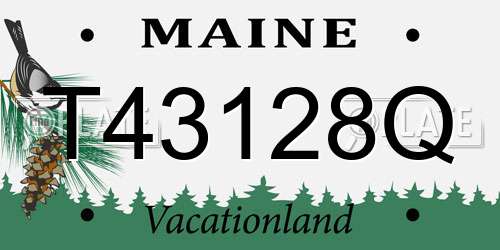 T43128Q Maine License Plate