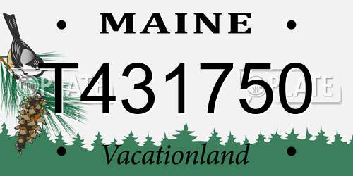 T431750 Maine License Plate