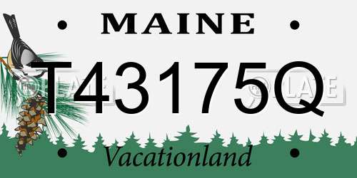 T43175Q Maine License Plate
