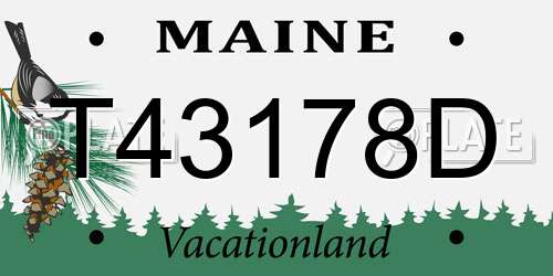 T43178D Maine License Plate