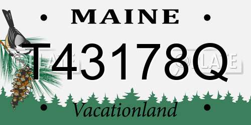 T43178Q Maine License Plate