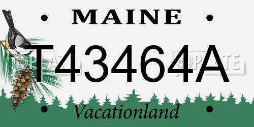 T43464A Maine License Plate