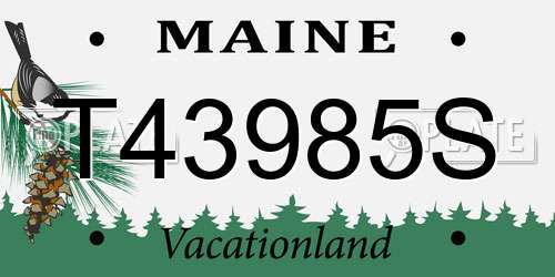T43985S Maine License Plate