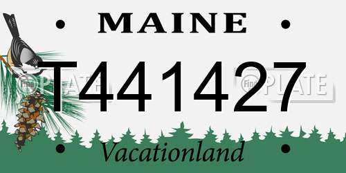 T441427 Maine License Plate