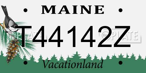 T44142Z Maine License Plate