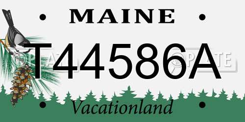 T44586A Maine License Plate