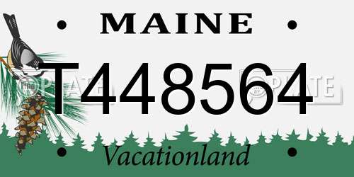 T448564 Maine License Plate