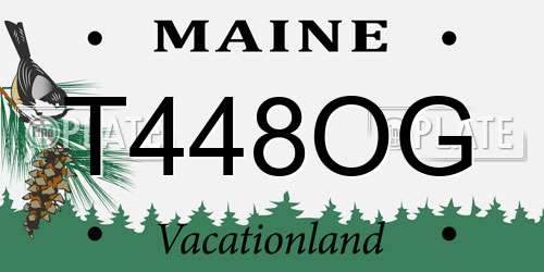 T448OG Maine License Plate