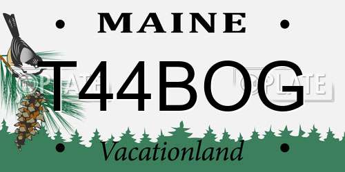T44BOG Maine License Plate