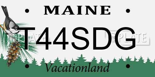 T44SDG Maine License Plate