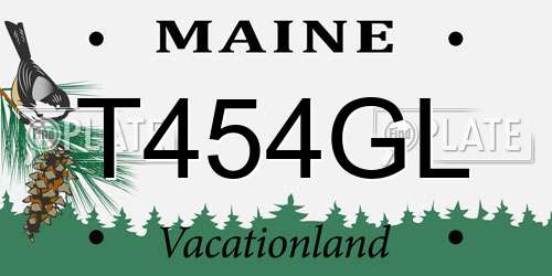 T454GL Maine License Plate