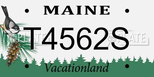 T4562S Maine License Plate