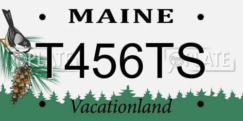 T456TS Maine License Plate