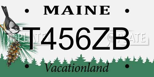 T456ZB Maine License Plate