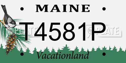 T4581P Maine License Plate