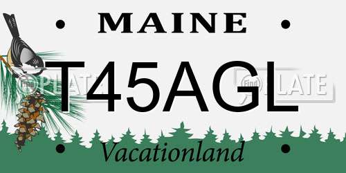 T45AGL Maine License Plate