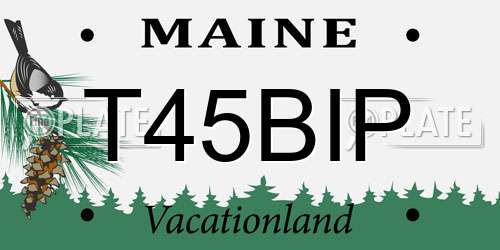 T45BIP Maine License Plate