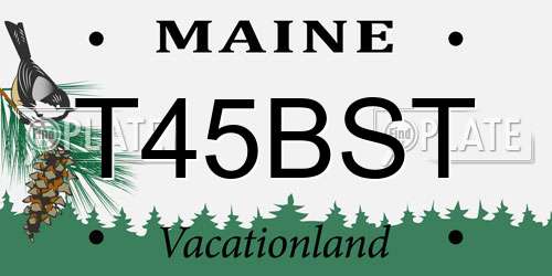 T45BST Maine License Plate