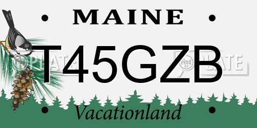 T45GZB Maine License Plate
