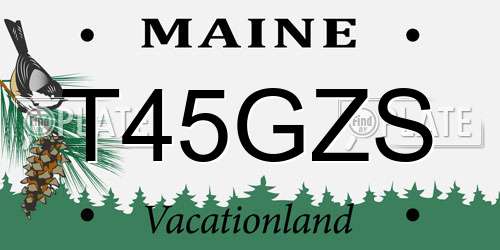 T45GZS Maine License Plate