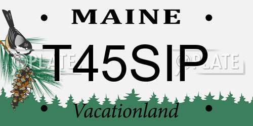 T45SIP Maine License Plate