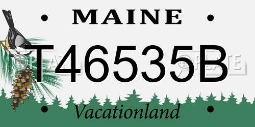 T46535B Maine License Plate