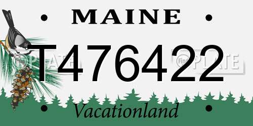 T476422 Maine License Plate