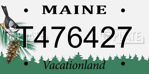 T476427 Maine License Plate
