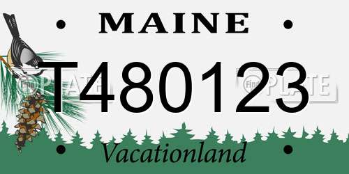 T480123 Maine License Plate