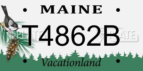 T4862B Maine License Plate