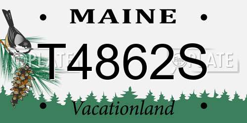 T4862S Maine License Plate
