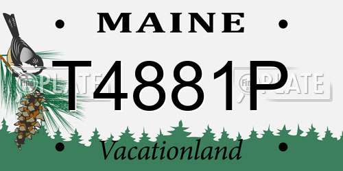 T4881P Maine License Plate