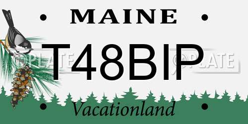 T48BIP Maine License Plate