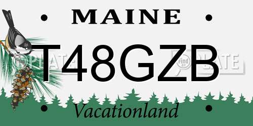 T48GZB Maine License Plate