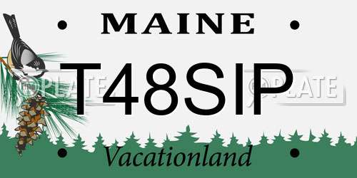 T48SIP Maine License Plate