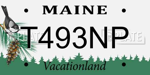 T493NP Maine License Plate