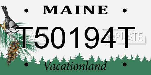 T50194T Maine License Plate